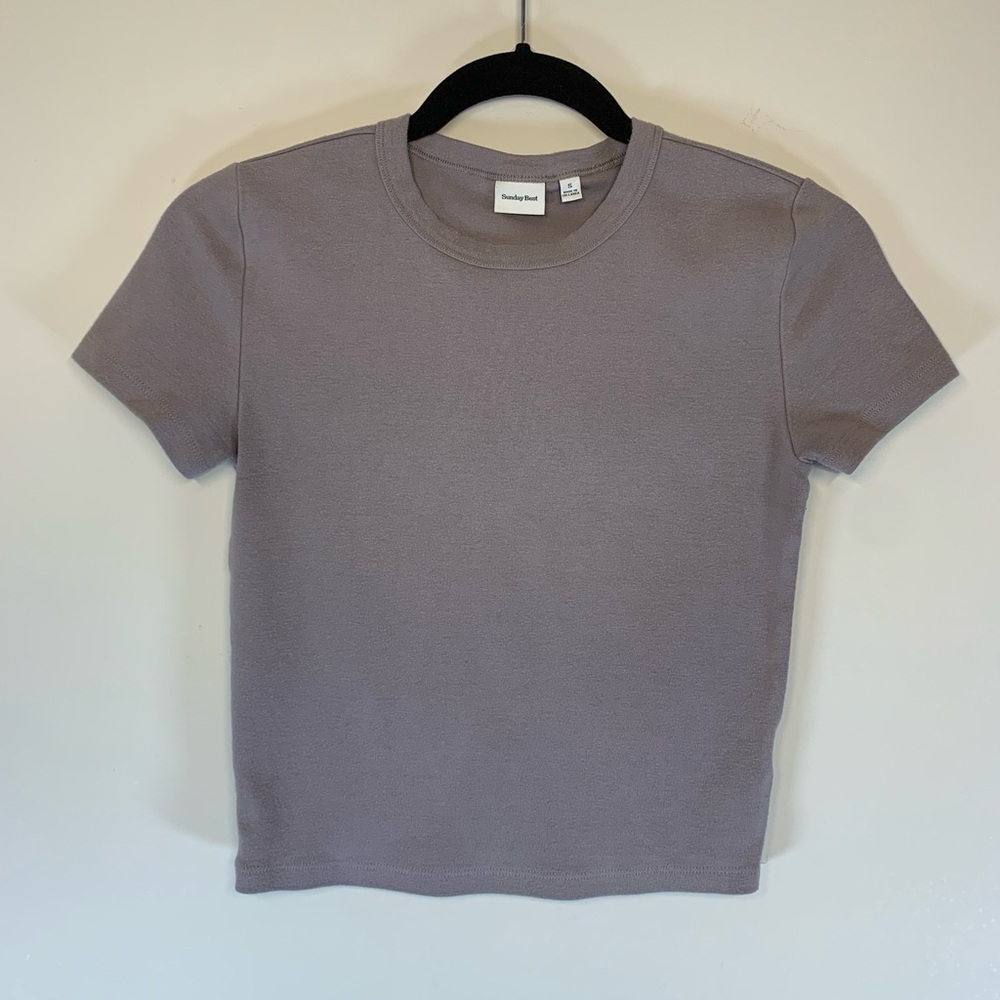 Sunday Best Aritzia Little T-Shirt in Dusty Mauve